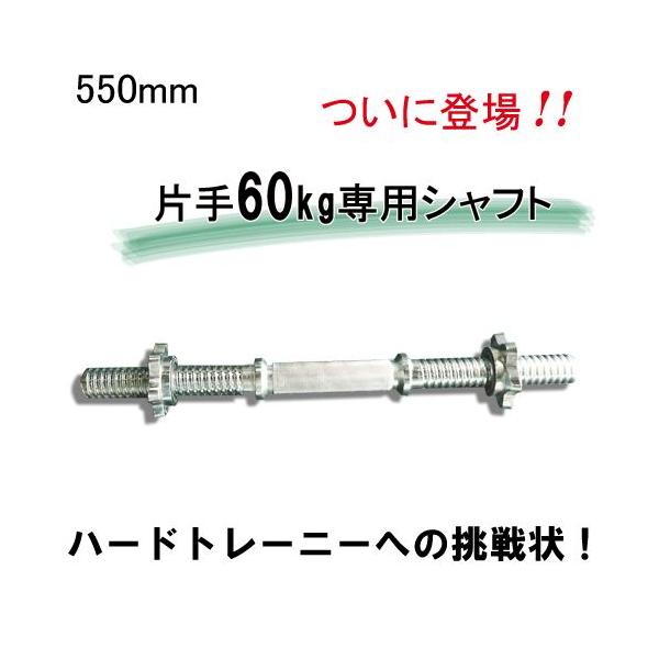 WILD FIT（ワイルドフィット） ダンベルシャフト 550mm スクリュー