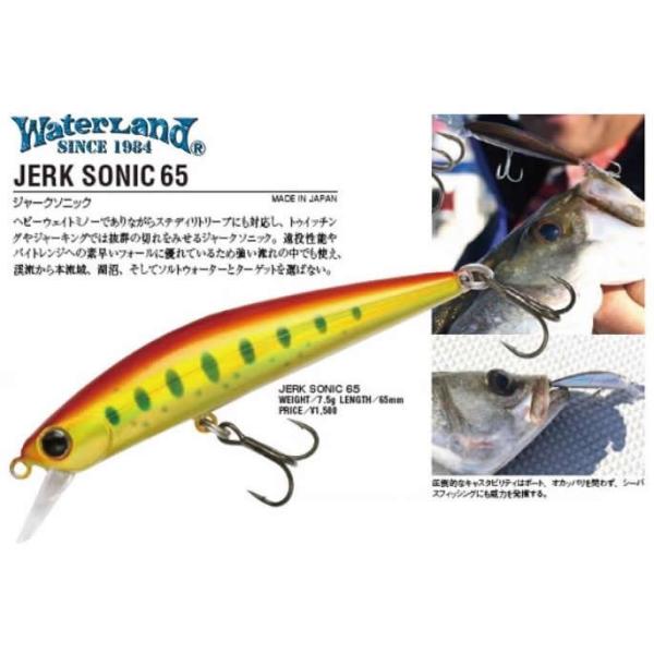 windsweb2_wl-jarksonic65