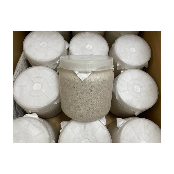 神長きのこ園【S8カンタケ：PP1400ボトル】オオクワガタのギネスクラス