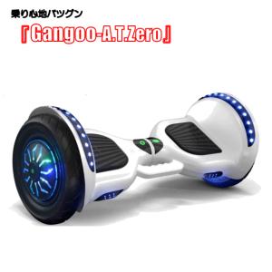 フルセット】セグウェイ ミニセグウェイ バランススクーター サービス