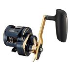 DAIWA（釣り） 21 ソルティガIC 300HL-SJ 釣り ベイトリール - 最安値