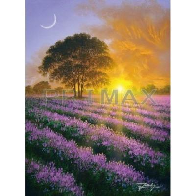 プライマックスStore - ジョン・ラッテンベリー｜Yahoo!ショッピング