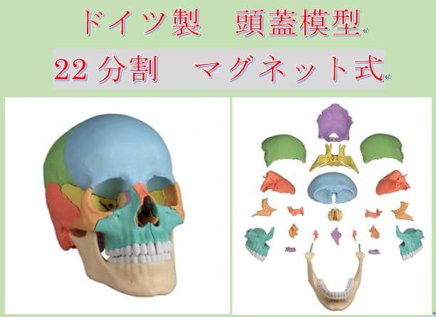 関連商品購入 | 日本オステオパシーメディスン協会