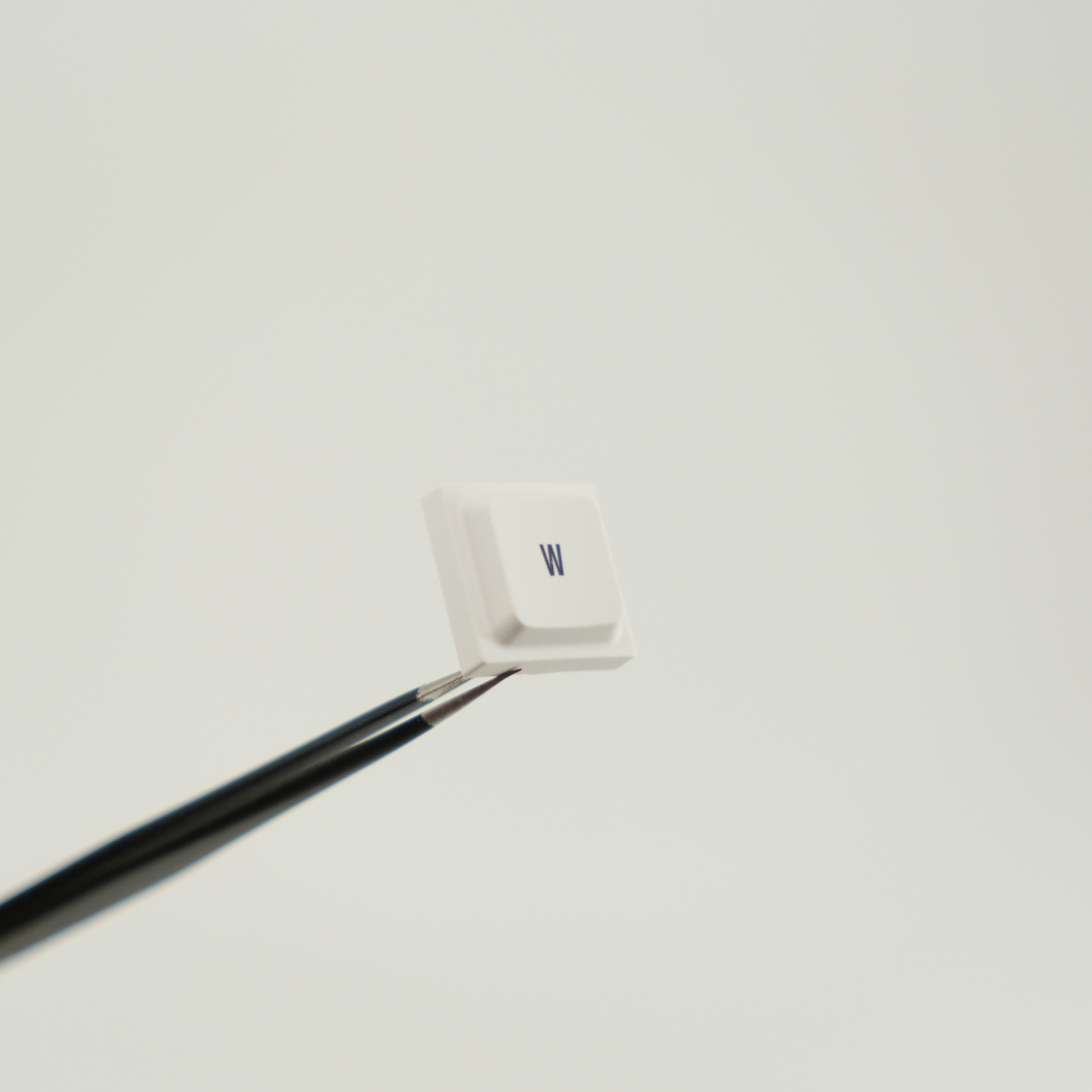 lak-white-2.png?v=1770383102&