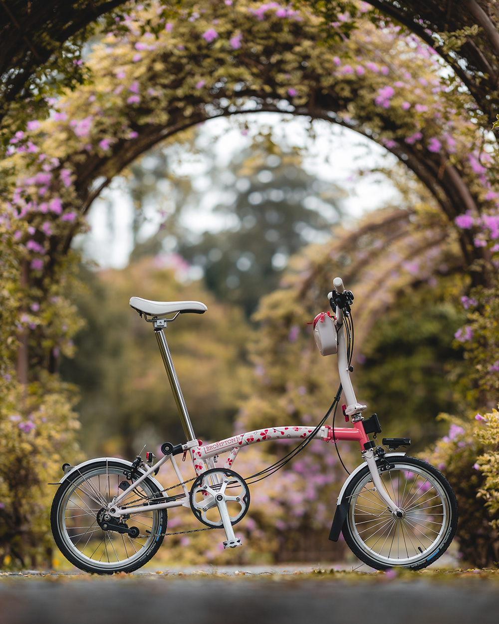 春のライドを彩るアジア限定モデル「Brompton Cherry Blossom」