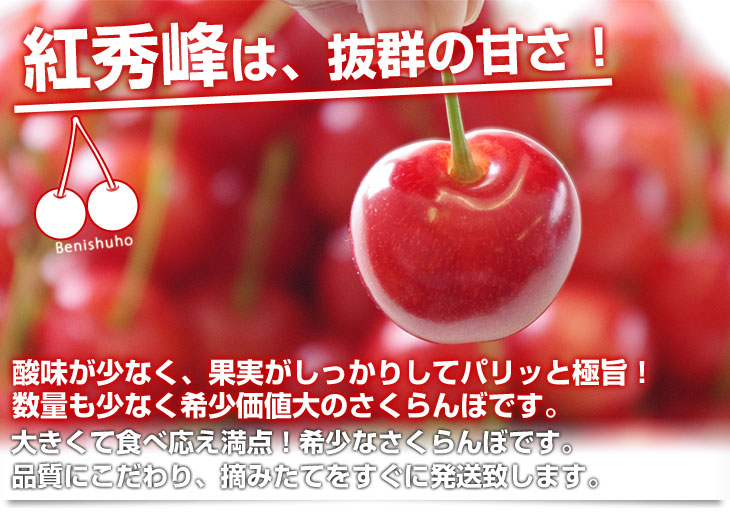 山形県より産地直送 さくらんぼ「紅秀峰」秀品 2Lサイズ 約700g（350g