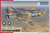 XP 40Q Warhawk Planet Models 104
