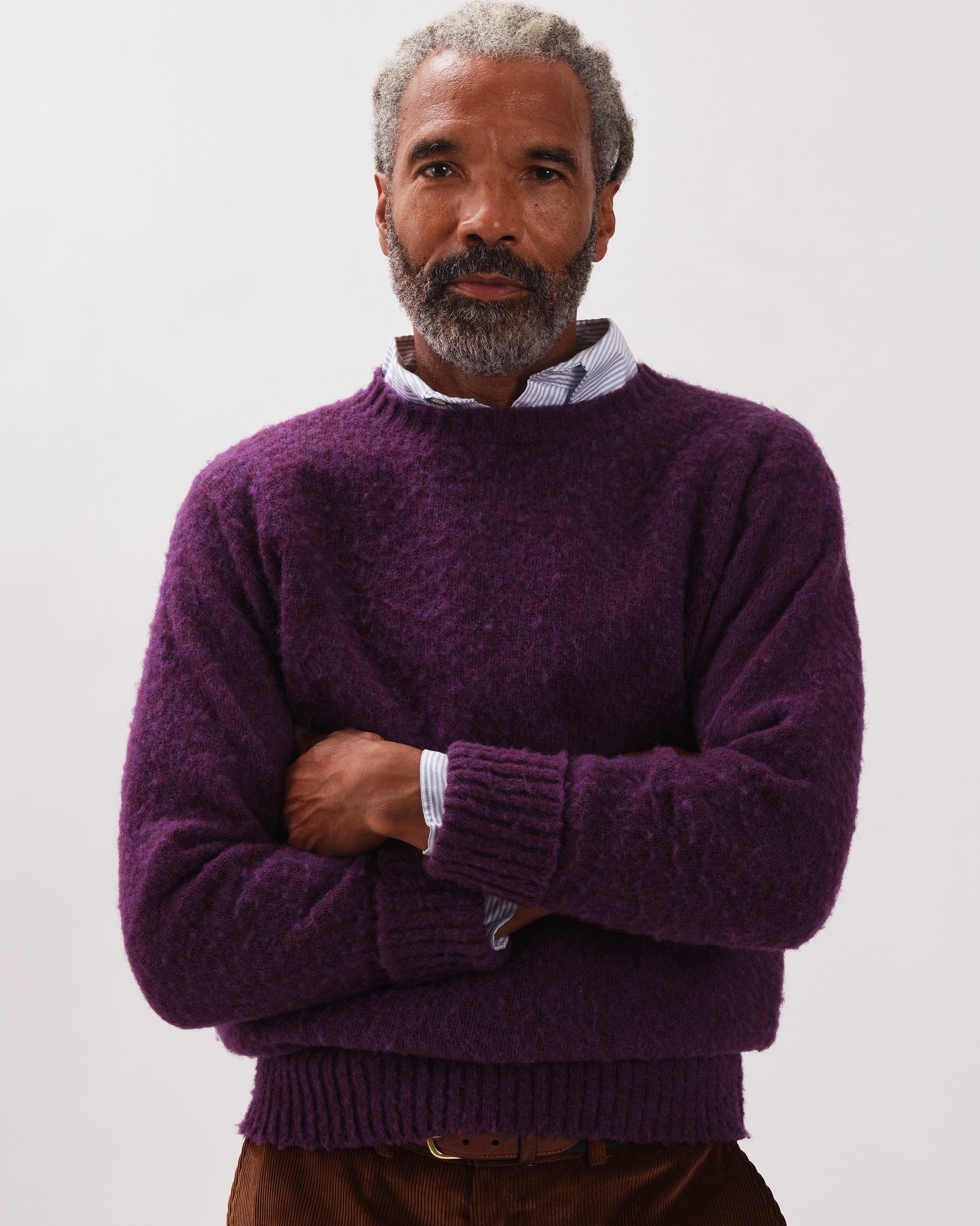 Shaggy Dog Sweater Purple - Classic Fit | Men's Sweaters - J. Press