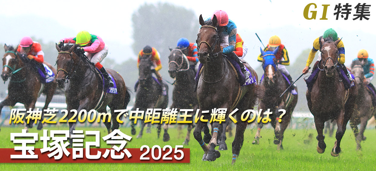 第34回、宝塚記念、優勝馬単勝馬券