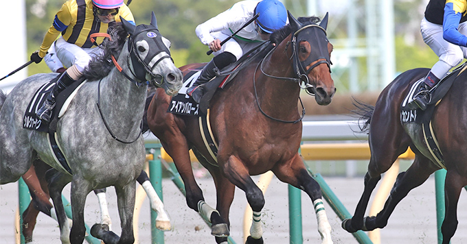 第1715回 3年ぶりの京都開催となる京都大賞典を分析｜データde出～た