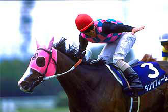 JRAホームページ｜データファイル｜競走成績データ