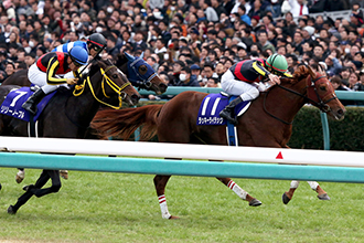 JRAホームページ｜データファイル｜競走成績データ