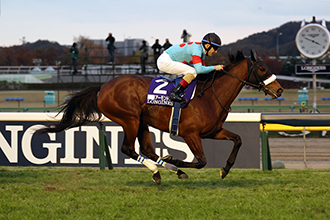 2020年 ジャパンカップ JRA