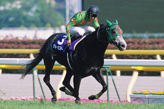 JRAホームページ｜データファイル｜競走成績データ