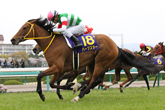 JRAホームページ｜データファイル｜競走成績データ