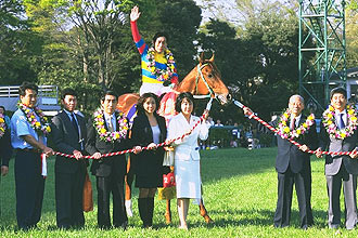 JRAホームページ｜データファイル｜競走成績データ