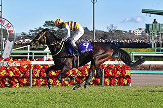 2022年 中山大障害 JRA