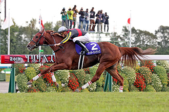2019年 エリザベス女王杯 JRA