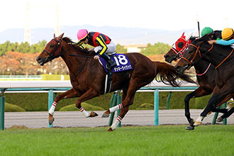 2020年 エリザベス女王杯 JRA