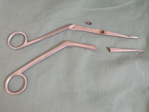 大量の”壊れない”鼻鉗子を発見！ | 金子耳鼻咽喉科