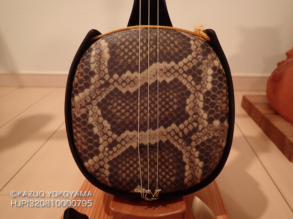 沖縄三線 - kanifilm