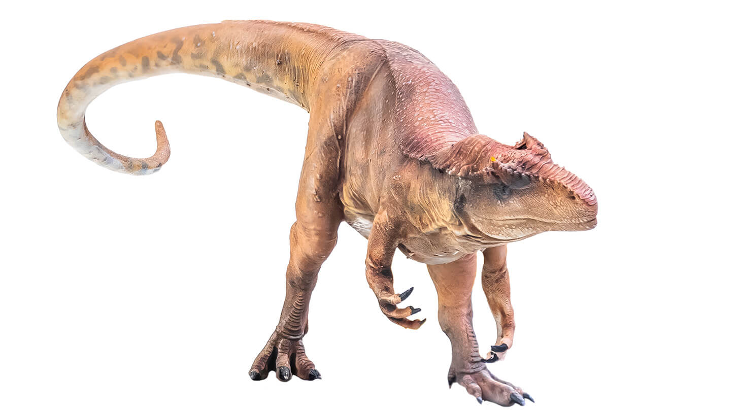 アロサウルス】するどい歯と大きな爪で肉を切り裂く！ ジュラ紀 最大級