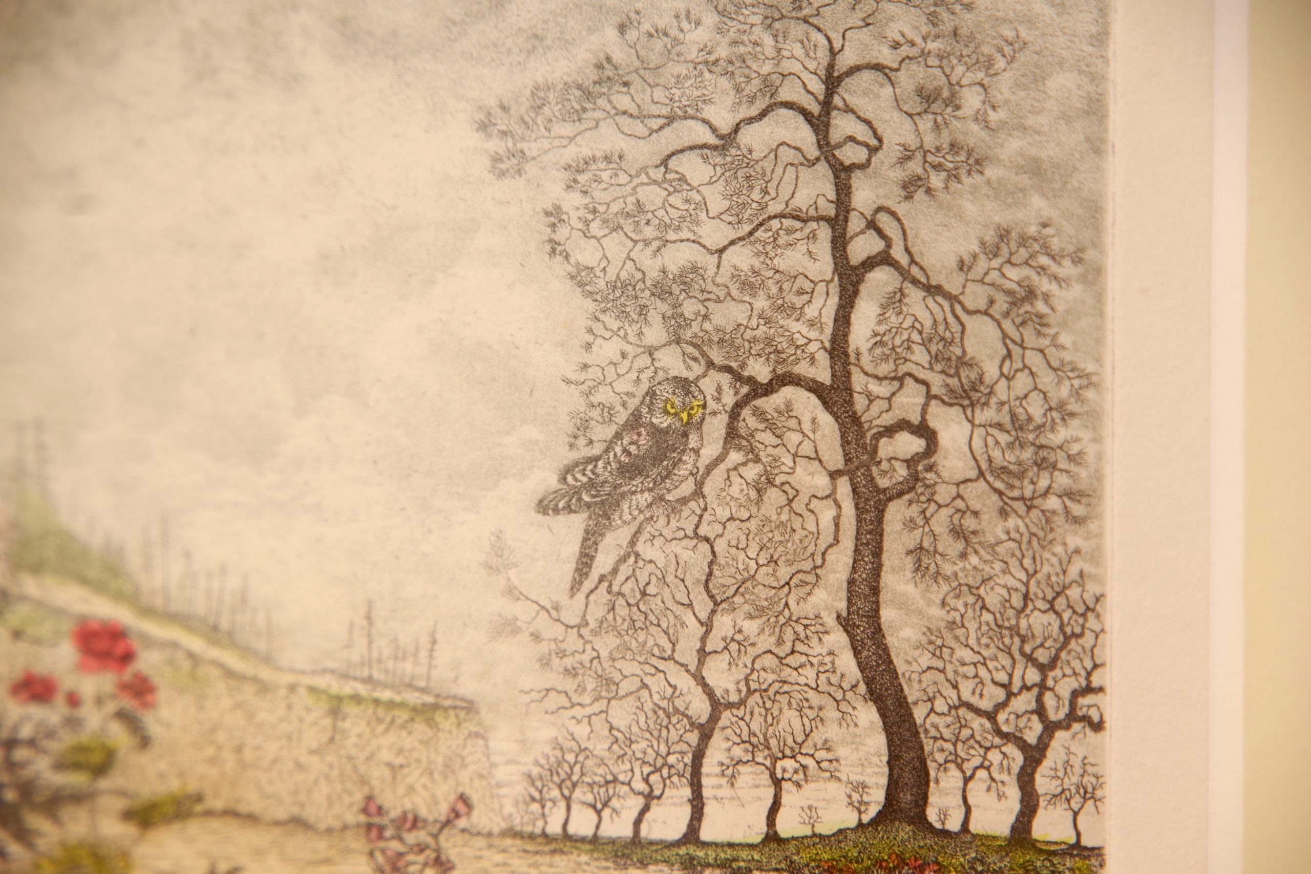 ノーマ・C & ベルント・ハウク 銅版画展」 繊細に自然を切り出すドイツ