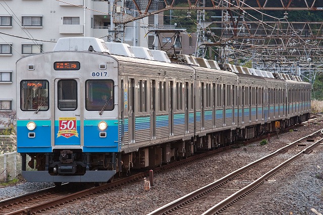 伊豆急行-8000系-TA-7編成|果て無き車両図鑑