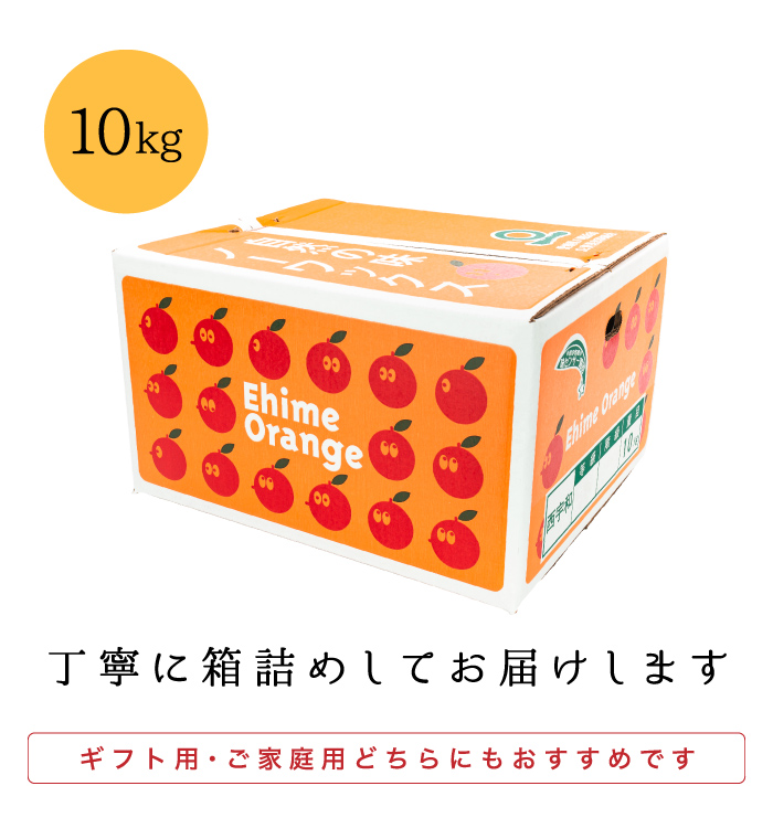 ギフトにも家庭用にもおすすめ！愛媛西宇和産のはるみみかんの大容量