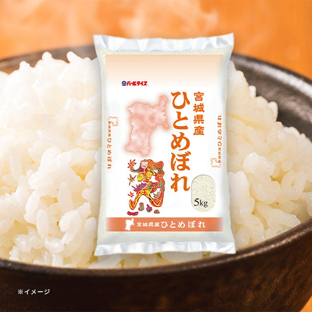 main01-2024-11-08T145544.244.