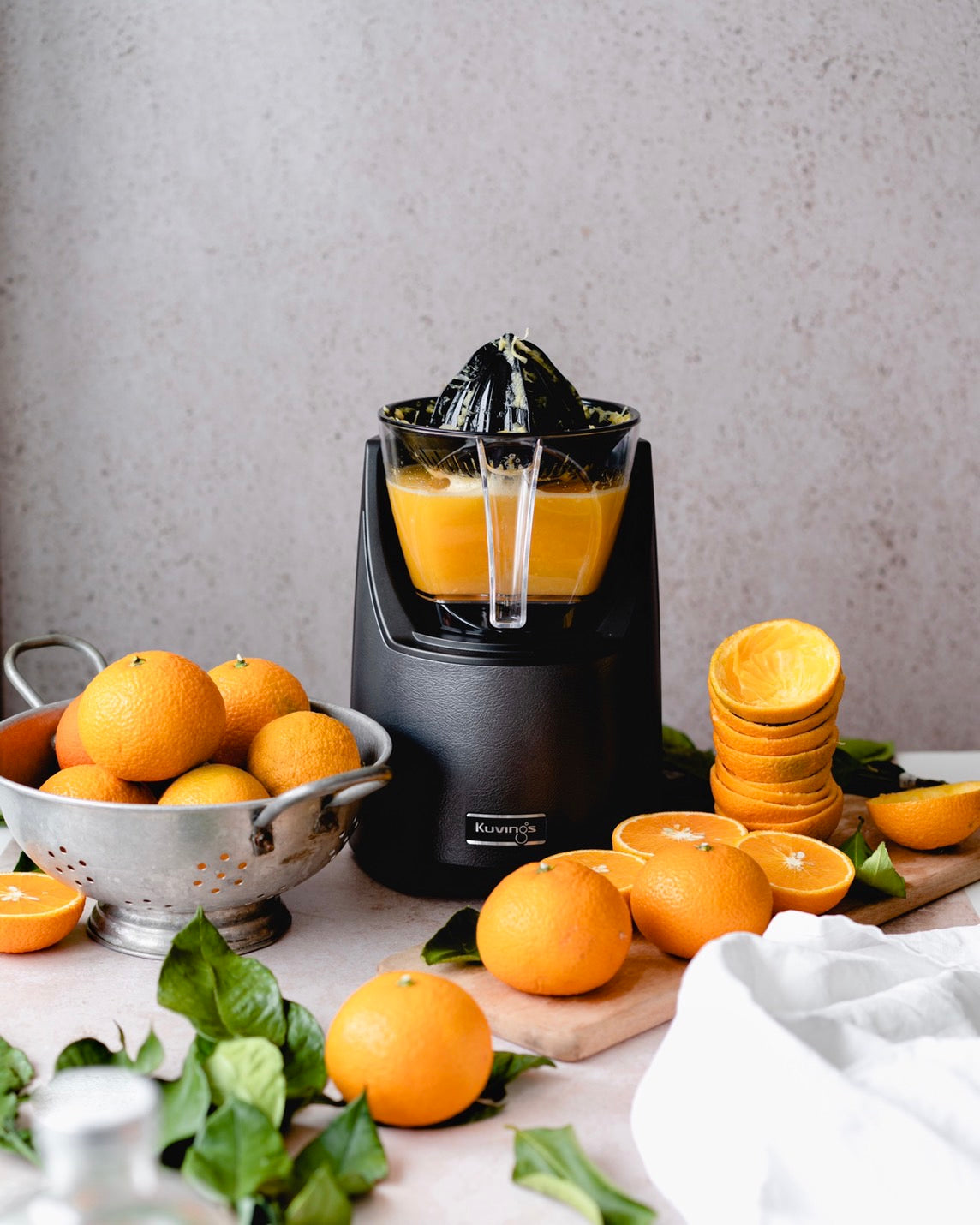 EVO-820専用】シトラススクイーザー CIT1-12