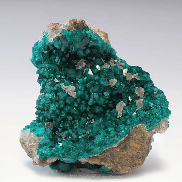 Dioptase 翠銅鉱 鉱物たちの庭