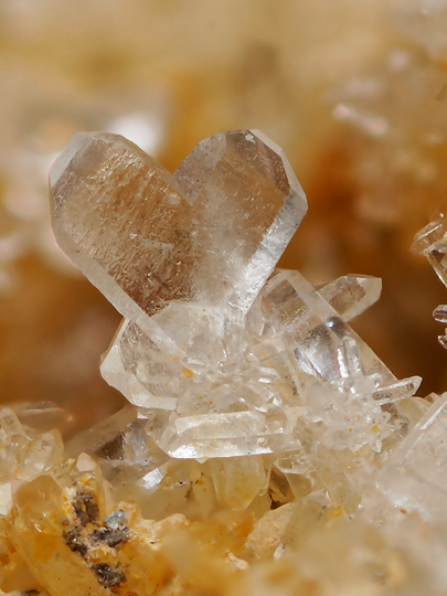 水晶 日本式双晶 Quartz Japan law twin 鉱物たちの庭