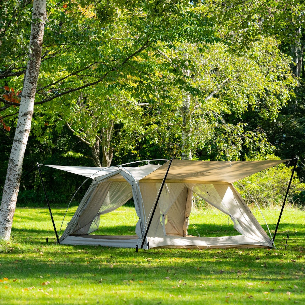 WOODEN HOUSE / Ivory – LOG