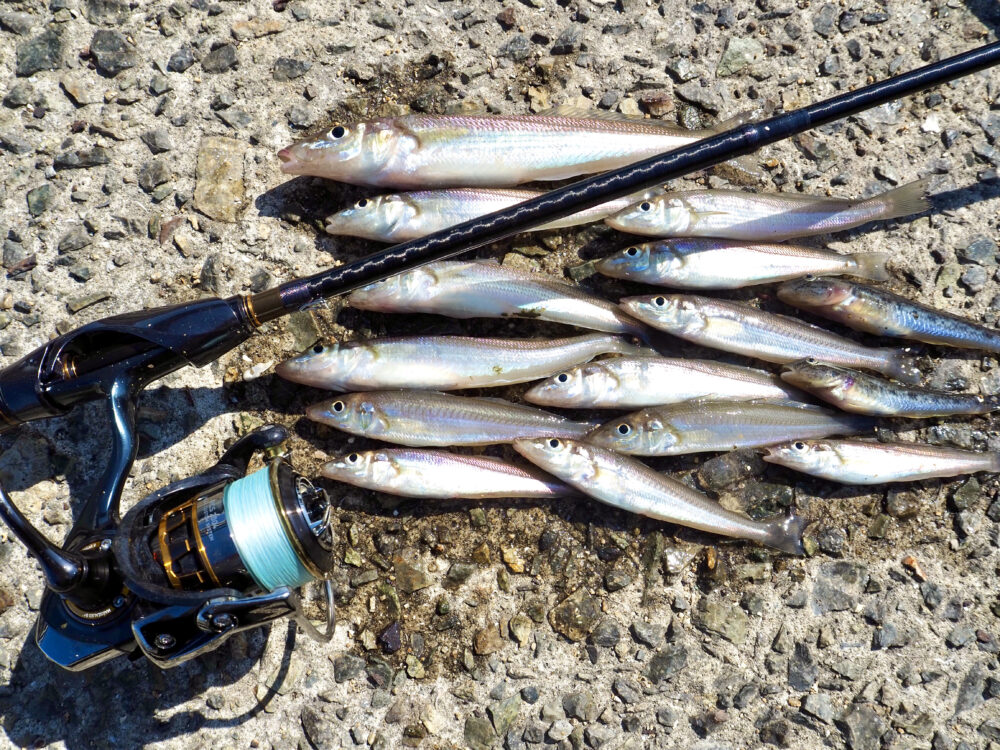 ソアレ エクスチューンMB S76UL-S インプレ