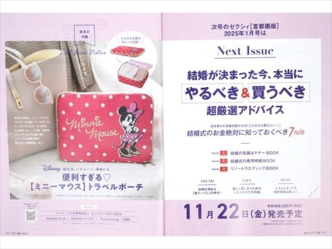 ゼクシィ 2024年 12月号 《付録》 Disney くまのプーさん 鍋つかみ