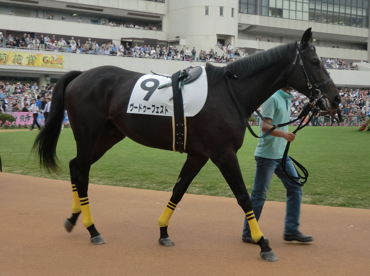 ジェンティルドンナ優勝 : atd Blog