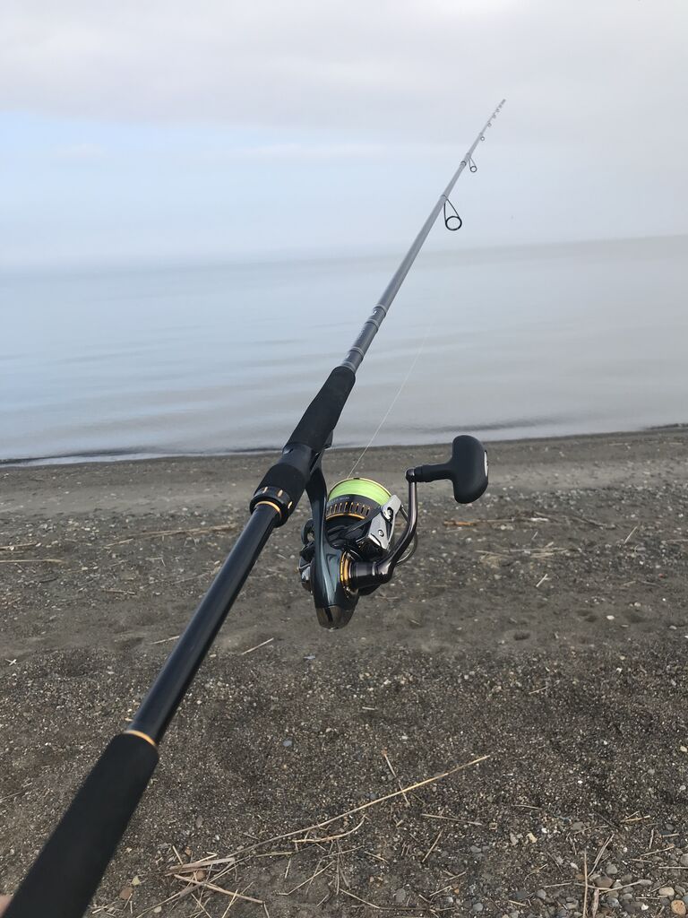 ダイワ【ラテオR100M】 : 特攻隊長さんの釣行記