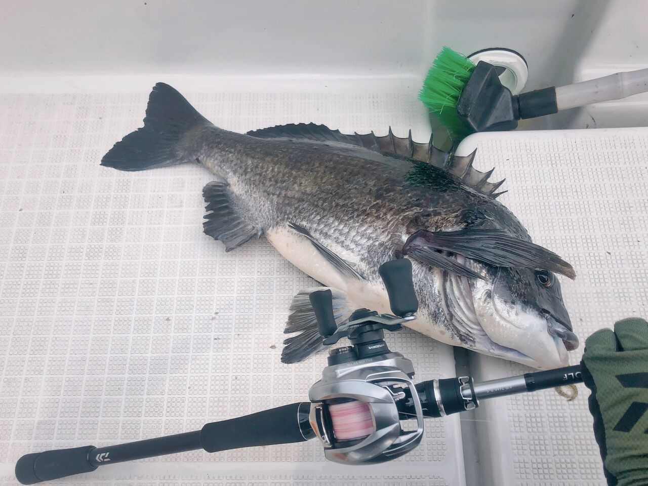 雑記｜簡易インプレ】22 シルバーウルフ Air 76MLB-S を2回使ってみて