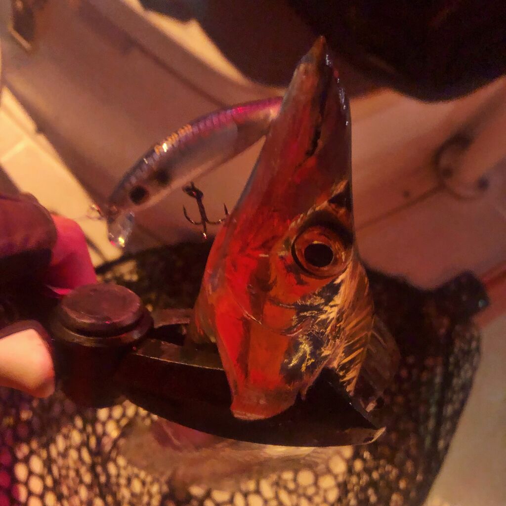 ロッド｜インプレ】19 月下美人 Air AGS 68L-T・R 〜 りんたこさん監修