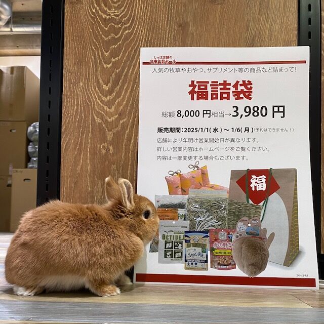 福詰袋2025 : うさぎブログ うさぎのしっぽ公式ブログ「日々しっぽ」