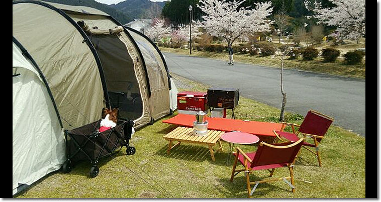 コットの紹介！！ : Simple life of KUNI-PAPA