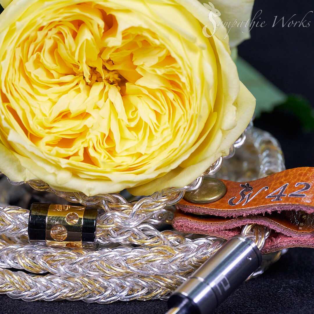 イヤホン SympathieWorks sw41 Sympahtie Works SW41で天から舞い降り