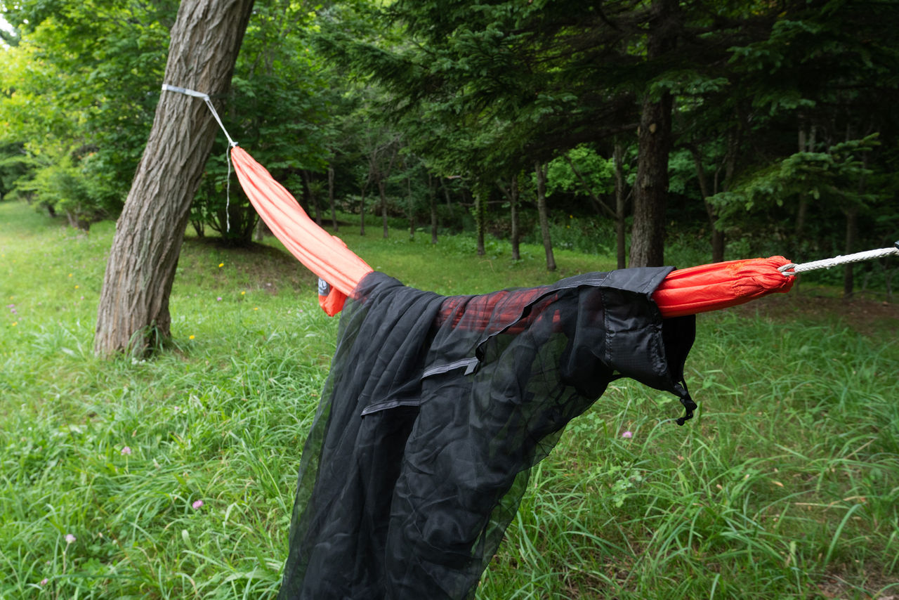 ハンモックで寝るなら是非 [Hummingbird Hammocks Warbler Net] : 山に