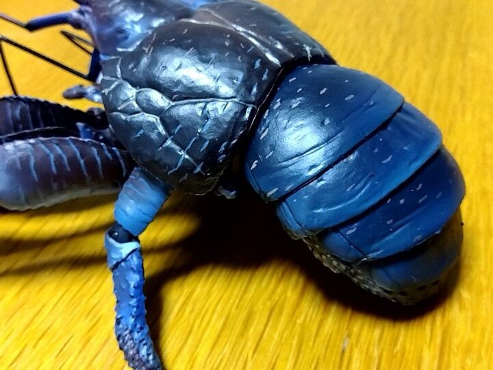 いきもの大図鑑プレミアム ヤシガニ : sexy☆ラーメン部ログ 3！