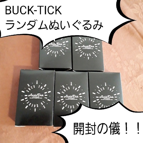 BUCK-TICKランダムぬいぐるみバッチが可愛いから家にあるものを駆使し