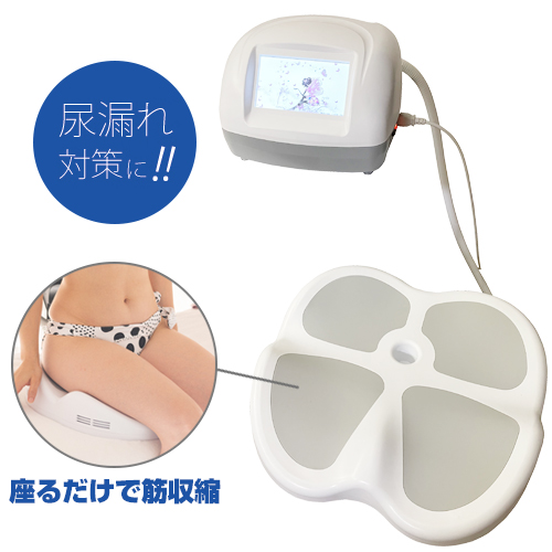 骨盤底筋 マシン（アブソリュートマセクサーミニ） 公式サイト