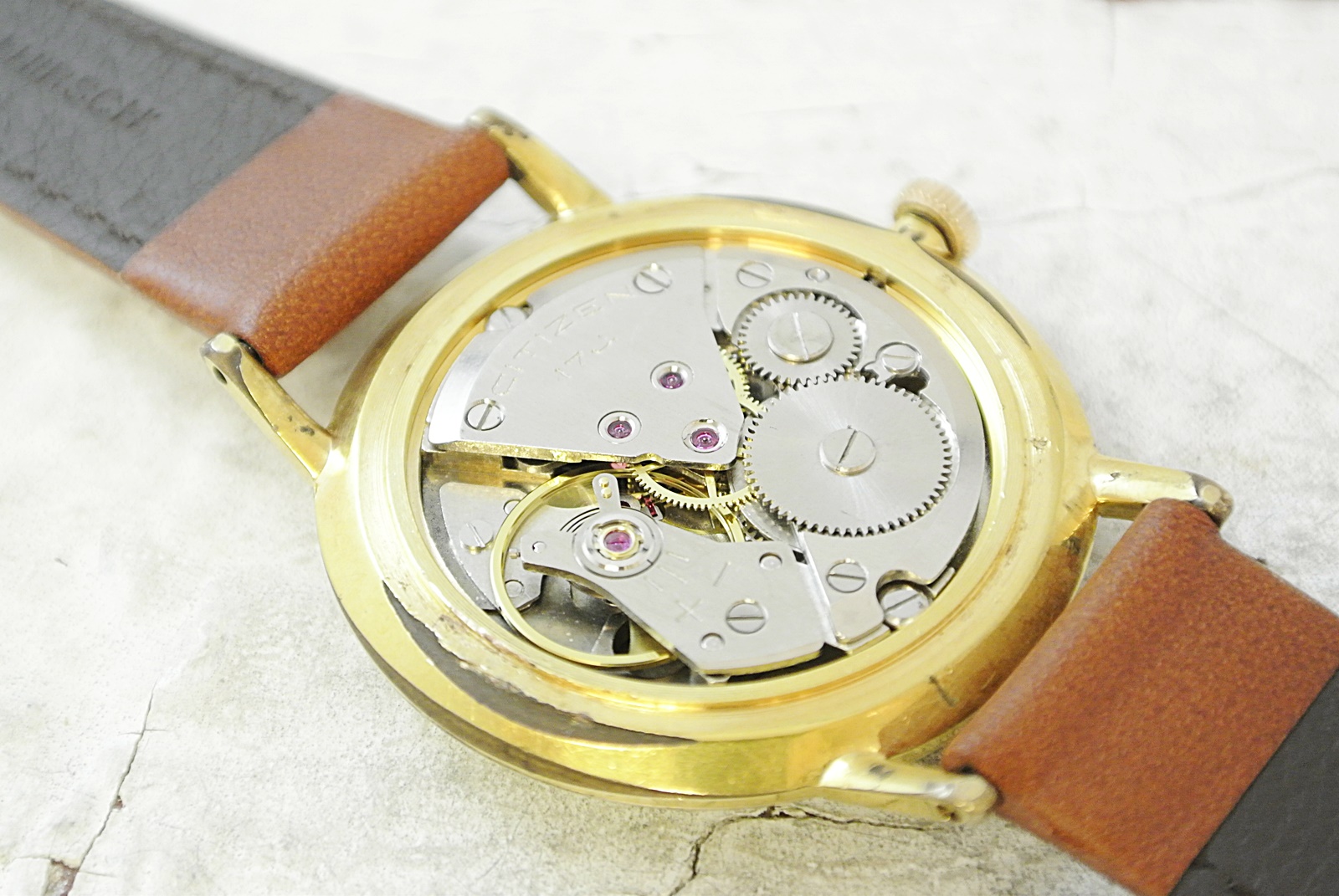 CITIZEN HOMER Pansy | L o'clock