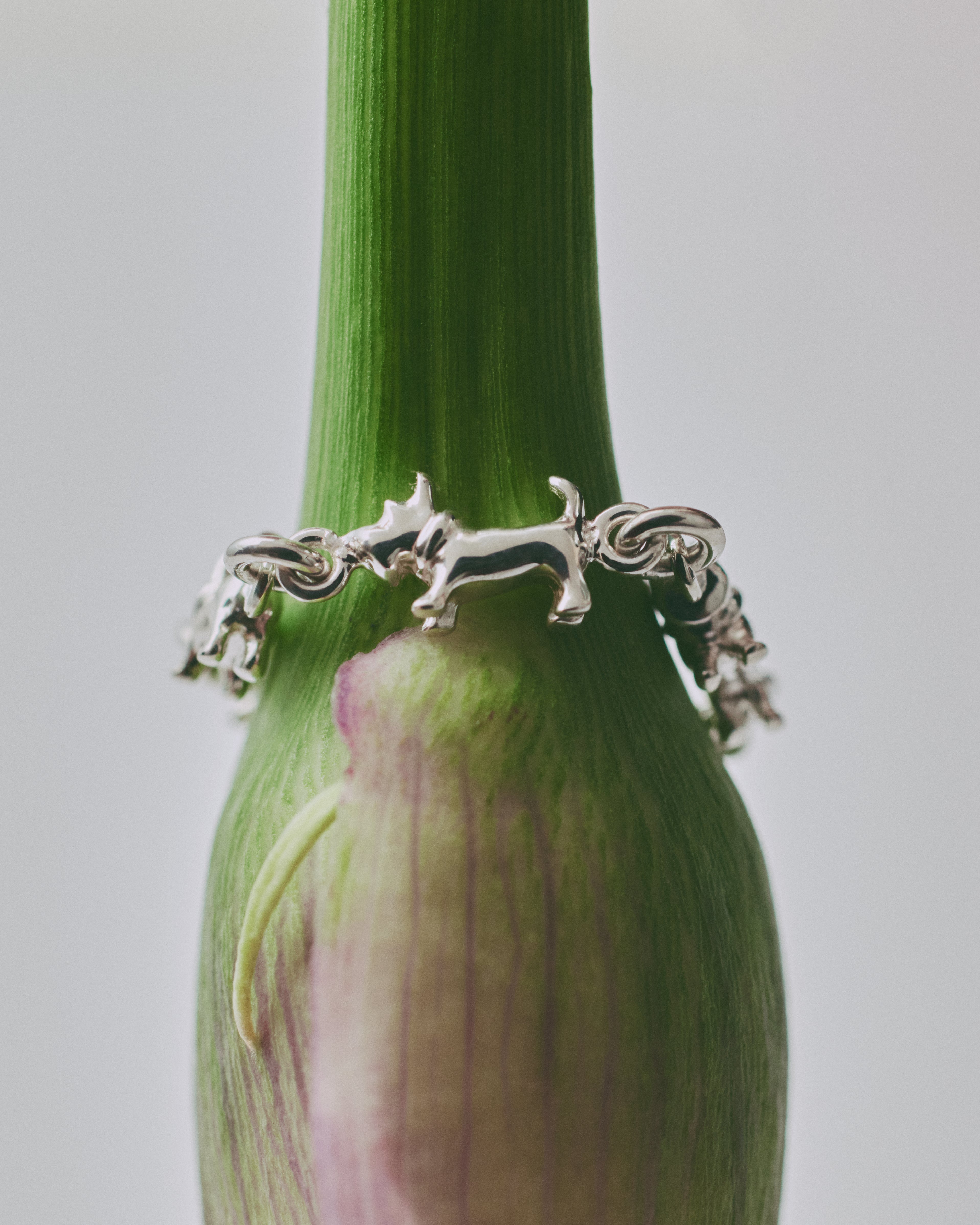 schnauzer chain ring｜LORO(ロロ)公式通販