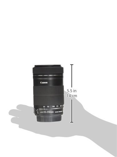 Canon EF-S 55-250mm F4-5.6 is STM : Amazon.ca: Electronics